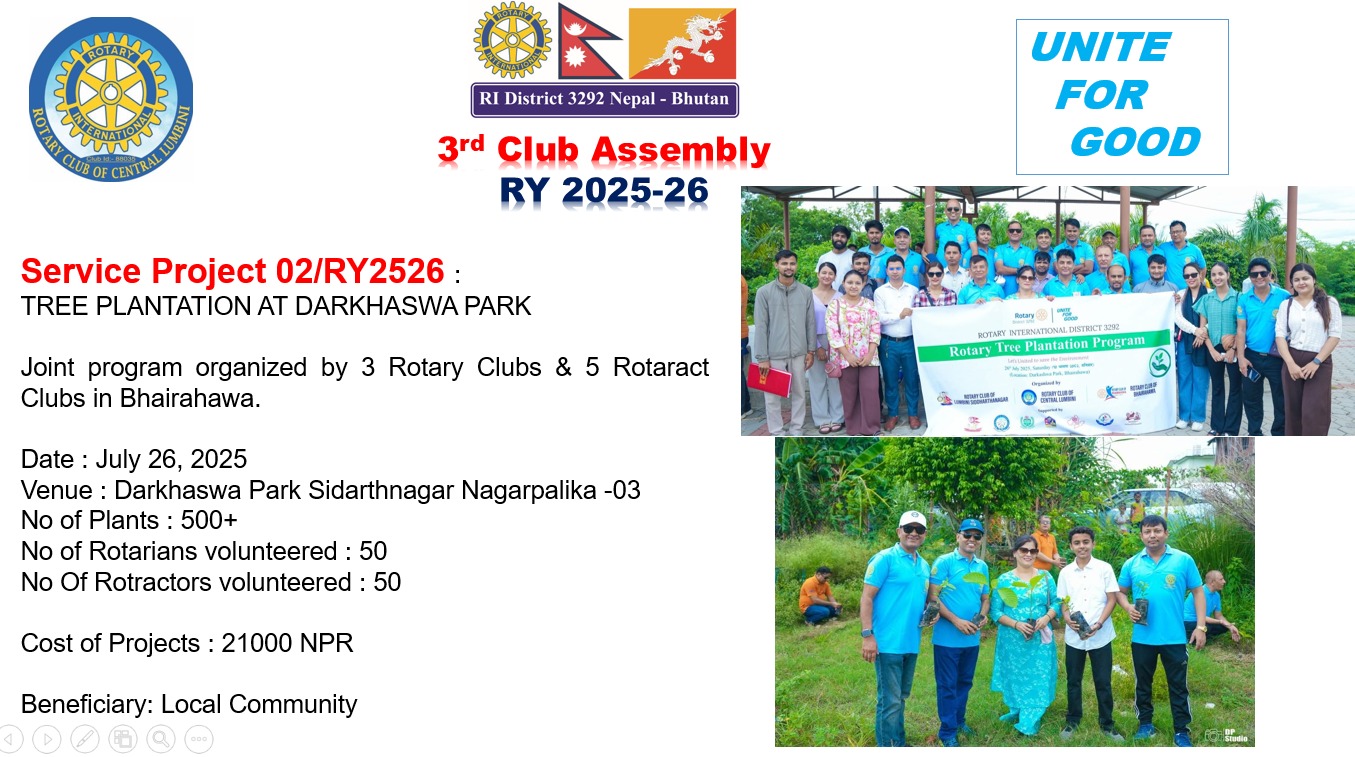 Tree Plantation